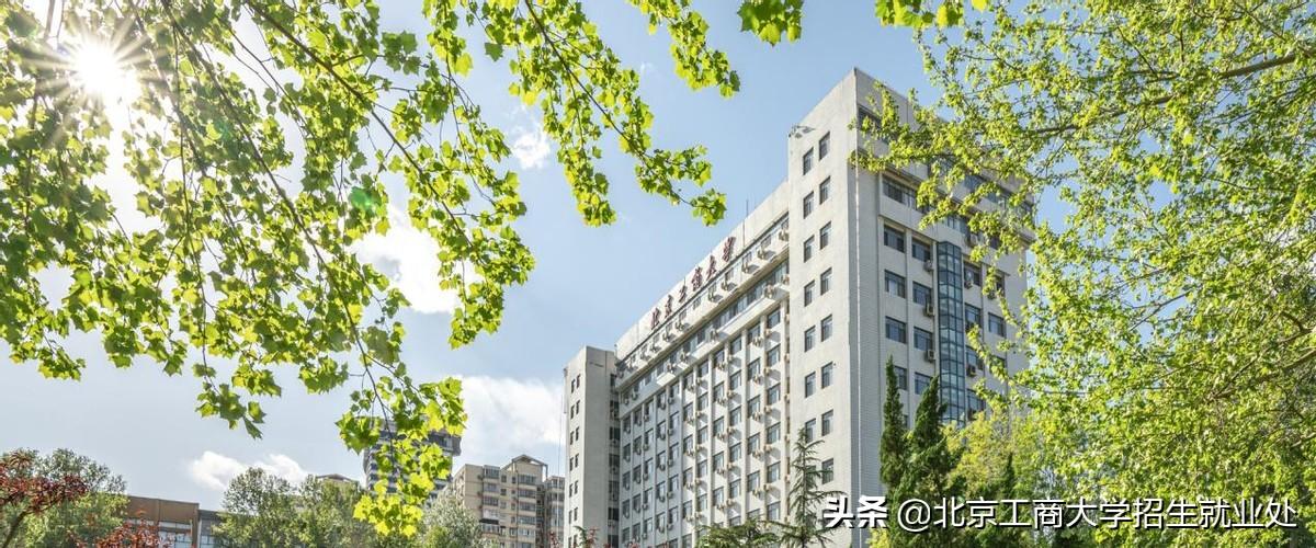 澳门今晚必开1肖-构建解答解释落实