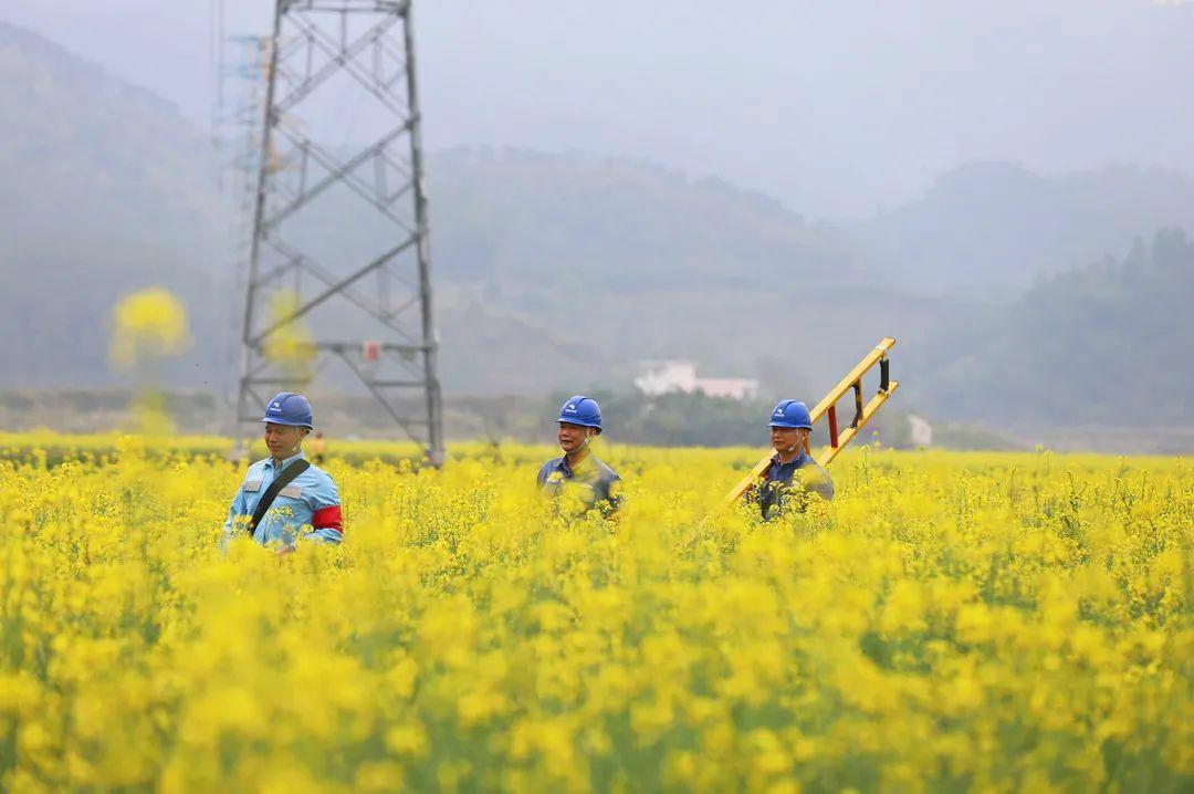 广东省促春耕，播种希望，迎接丰收