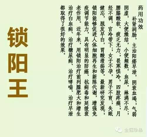 广东兴阳药材有限公司，传统药材的现代诠释