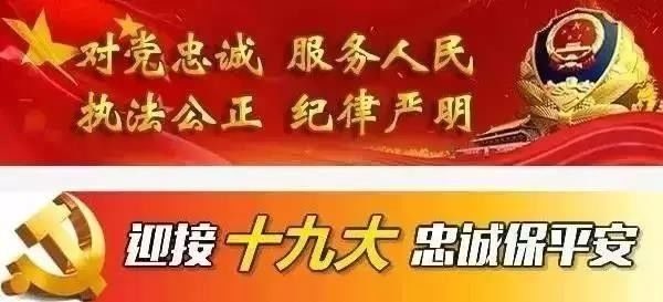 广东省公安林伟平，守护平安的忠诚卫士