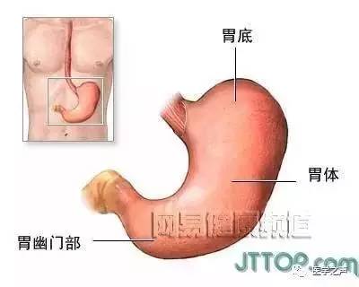 胃炎一个月，经历、学习与康复之路