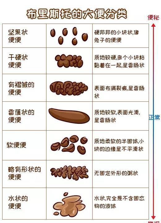 关于十个月大的宝宝大便的探讨